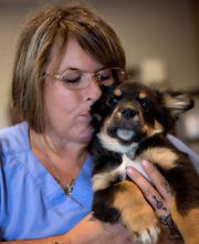 Wewoka Animal Hospital image 18