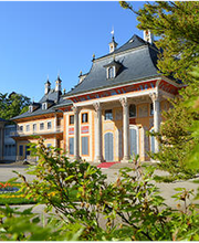 Schloss-Apotheke Pillnitz Bild 5