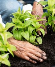 Stiftung Hofmatt Bild 4