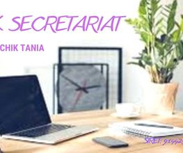 T.K Secrétariat image 3