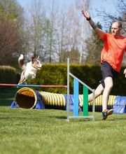 Dogs Adventure GmbH Bild 2