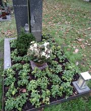 Gartenland Rabovsky e.K. Bild 7