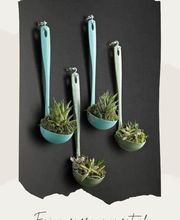 Service des fleurs image 7