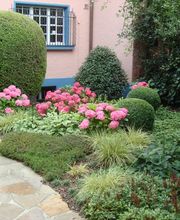 VITA VERDE AG Bild 11