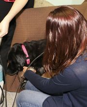 Skippack Animal Hospital image 6