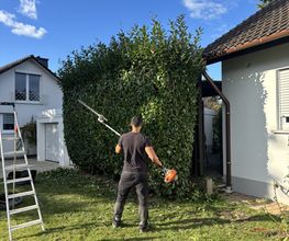 Hecke.jpg