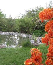 Sieber Naturnaher Gartenbau GmbH Bild 2