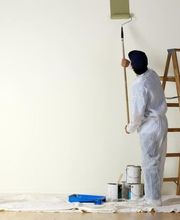 Fernandes Jordan image 1