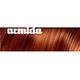 Haute Coiffure Armida