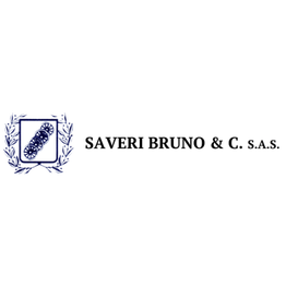 Saveri Pratiche Auto dal 1973 logo