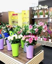 Carrément Fleurs - Fleuriste Sainte-Eulalie Bordeaux 33 - Livraison de fleurs à domicile image 4