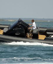 Bat Marine image 7