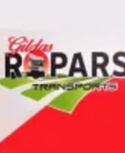 Ropars Gildas image 1