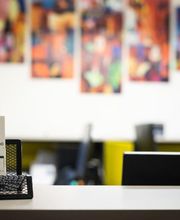 Gallery Cliente