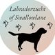 Labrador of Swallow Lane