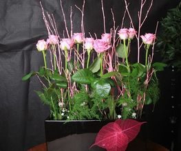 L'Orchidée image 12
