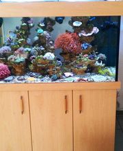 Holzbearbeitung Lettmann Bild 11