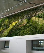 Savi PAYSAGE image 2