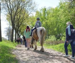 Familiencampingplatz Haselünne Bild 13