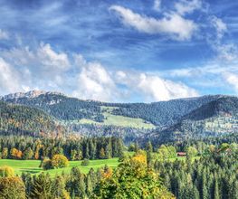 Résidence les Marronniers - Fondation Marcel Bourquin Bild 6