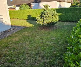 Müller Garten & Haus Bild 10
