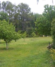 Conciergerie/Gérance de maison Haut Var image 9