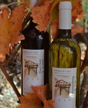 Domaine de l'Enfer, Roten Diego