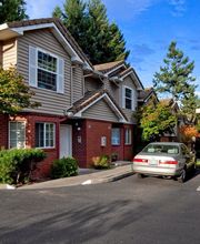 Murray Woods Apartments image 5