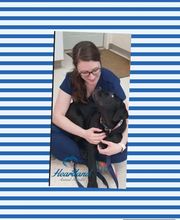 Heartland Animal Hospital image 9