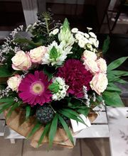 La Tulipe Noire image 14