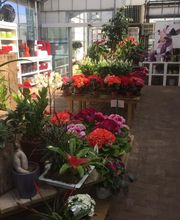 Jardinerie André image 4