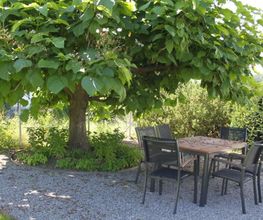 Alter Garten GmbH Bild 2