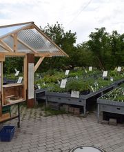 Wildpflanzengärtnerei Flora di Berna Bild 1