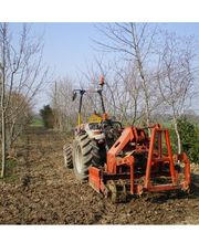 Guellier François Gaec De la Grande Ronce image 1
