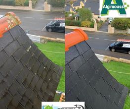 Breizh Cleanup image 2