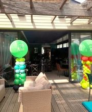 David Ballon Evolution image 4