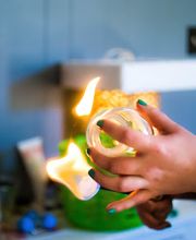 The Body Mechanics image 5