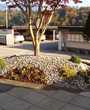 Blättler Gartenbau GmbH Bild 4