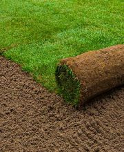 Cleangarten UG Bild 4