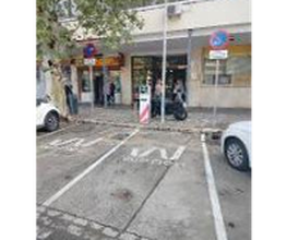 Wenea imagen 12