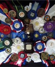 Williamson Mead and Brewing image 7