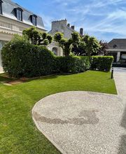 Millet Paysage image 2