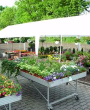 Blumen Barrey Bild 3