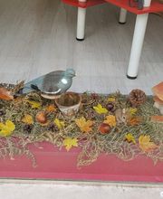 ID Retouches image 9