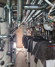 Michael Krause Bild 5