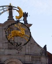 Bingisser Maler AG Bild 5