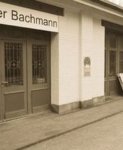 Maler Bachmann Bild 1