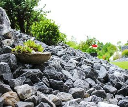 Ribi Gartenbau GmbH Bild 5