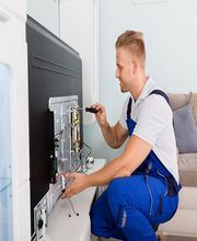 Thibaut Pascal image 1