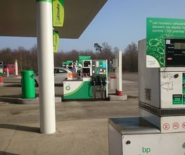 bp image 1